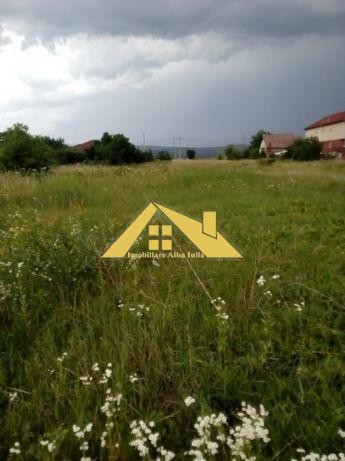 teren-intravilan-de-vanzare-alba-micesti-2